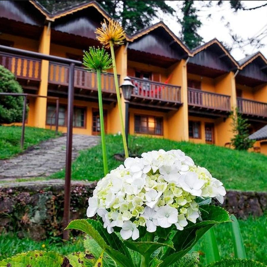 Pousada Sonho Verde Monte Verde  Eksteriør billede